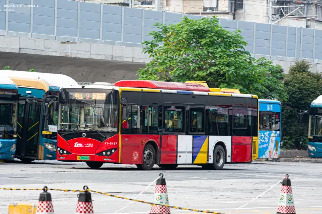 800BUS