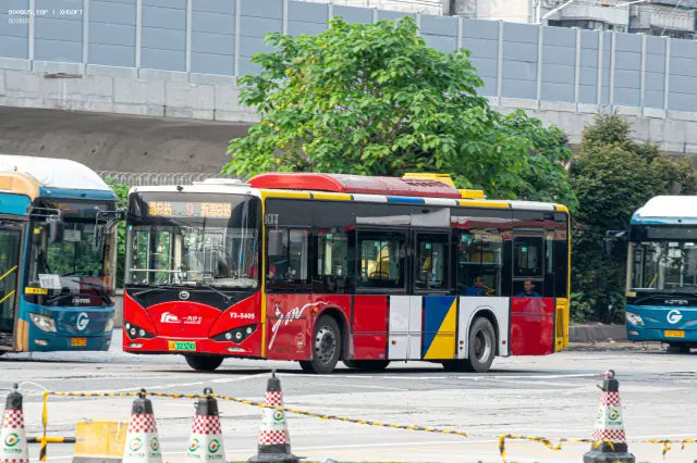 800BUS