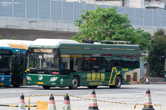 800BUS