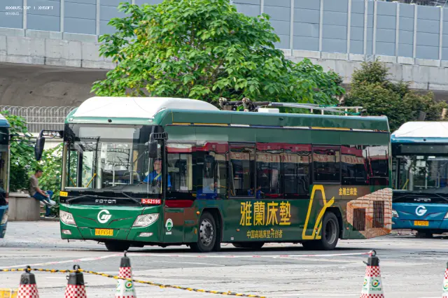 800BUS