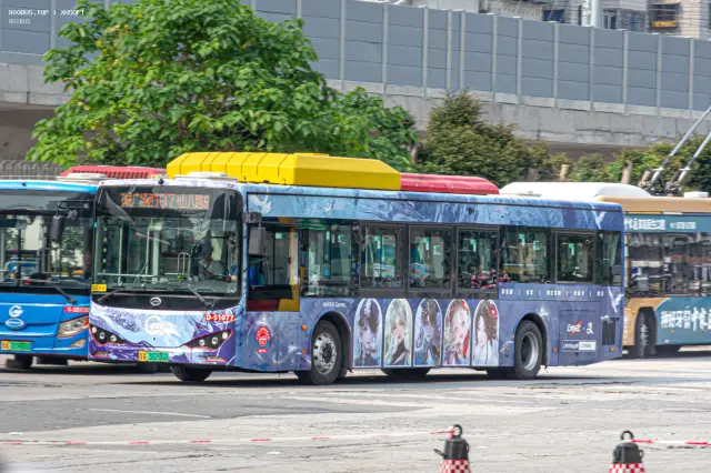 800BUS