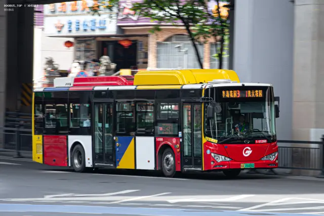 800BUS