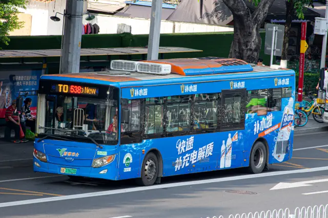 800BUS