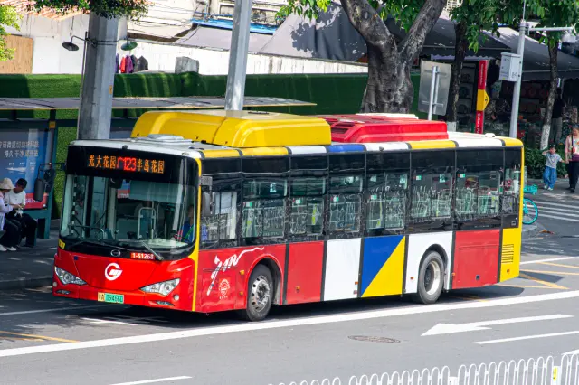 800BUS