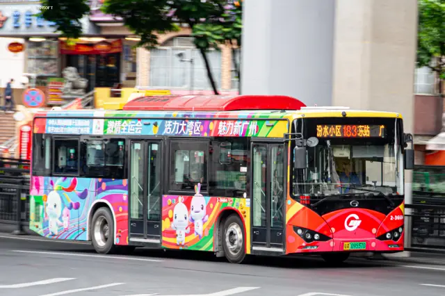 800BUS