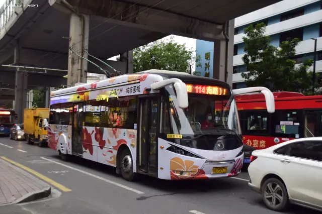 800BUS