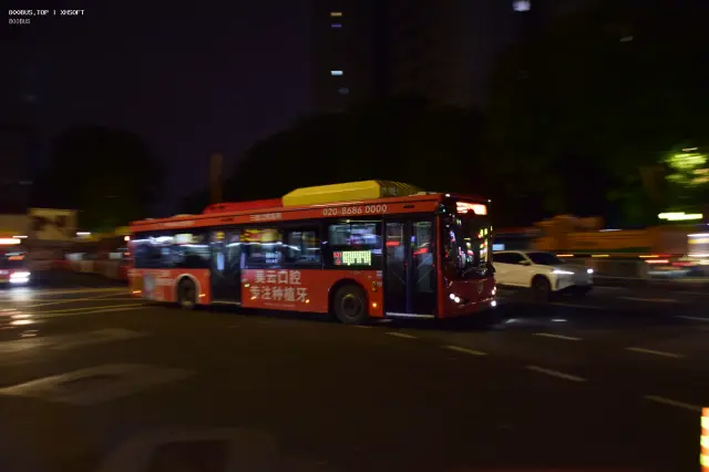 800BUS