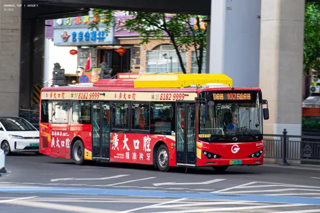 800BUS