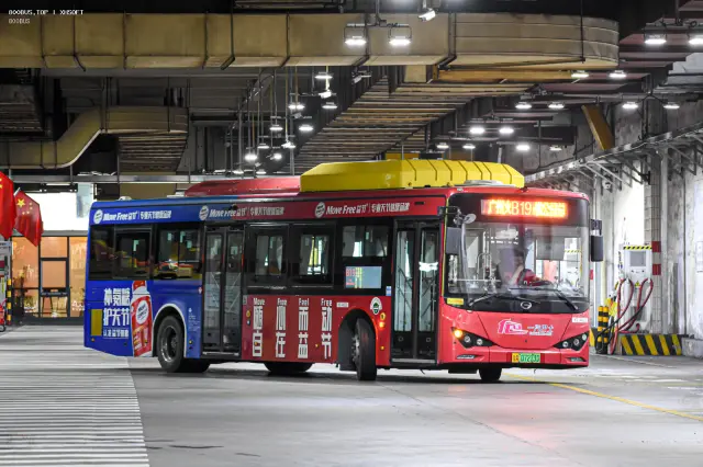 800BUS