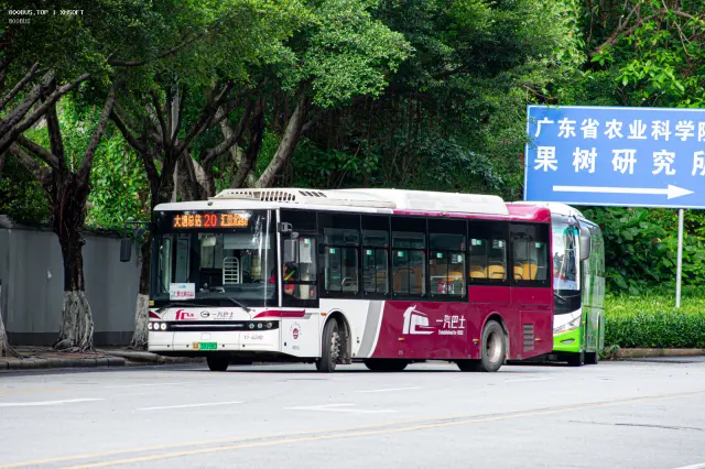800BUS