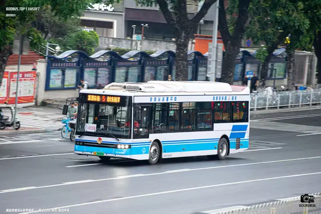 800BUS