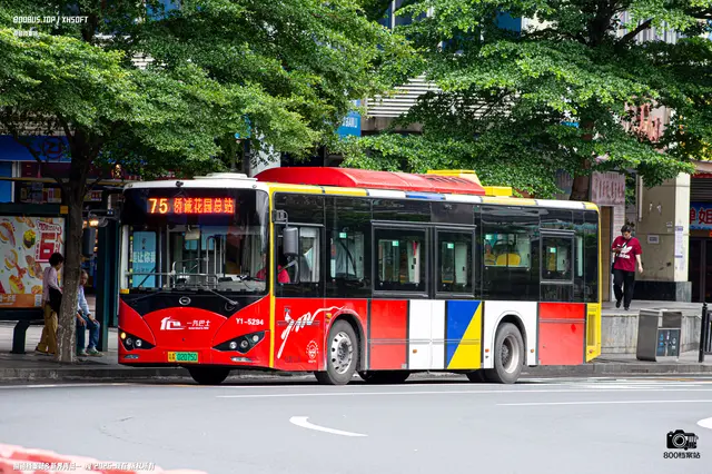 800BUS