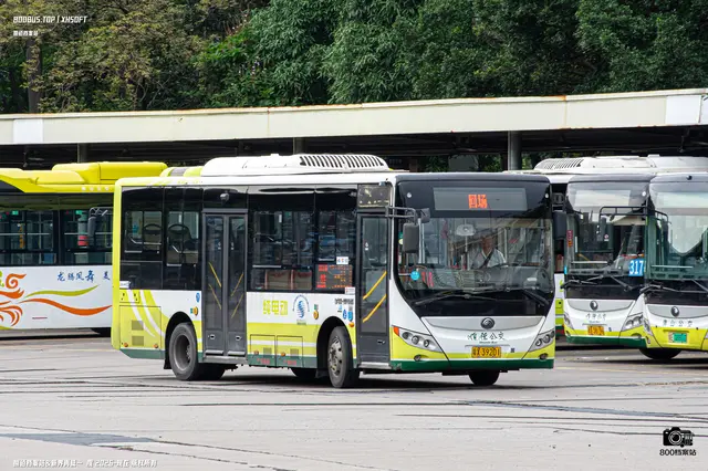 800BUS