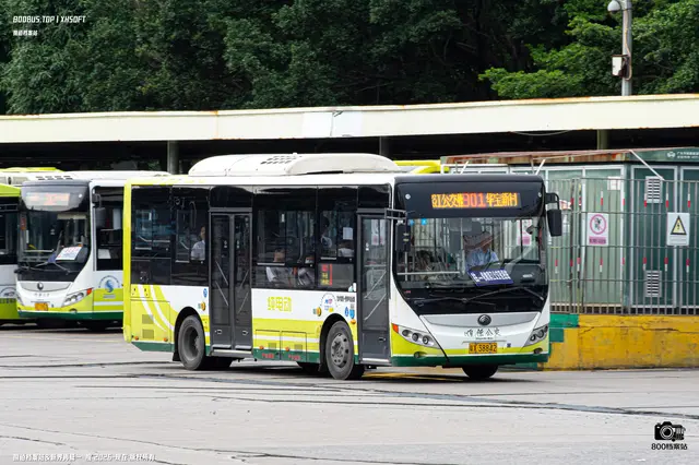 800BUS