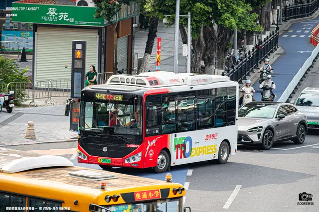 800BUS