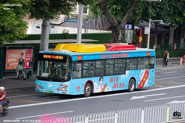 800BUS