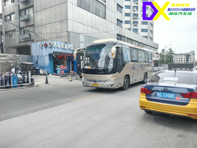 800BUS