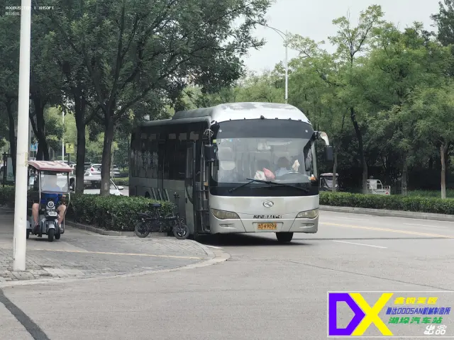 800BUS