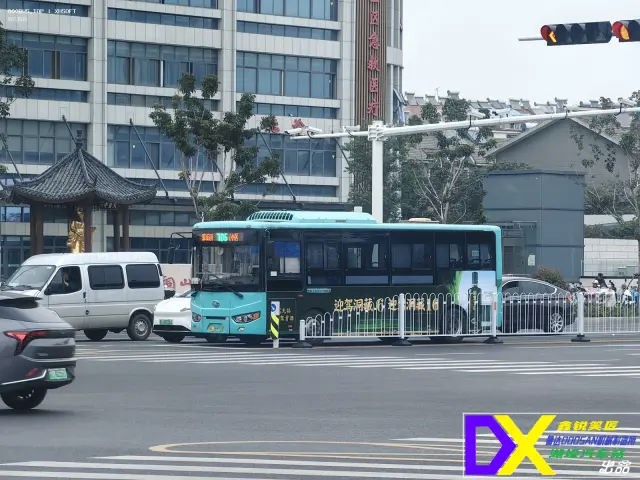 800BUS