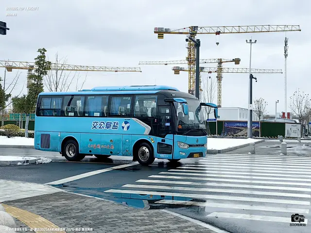 800BUS
