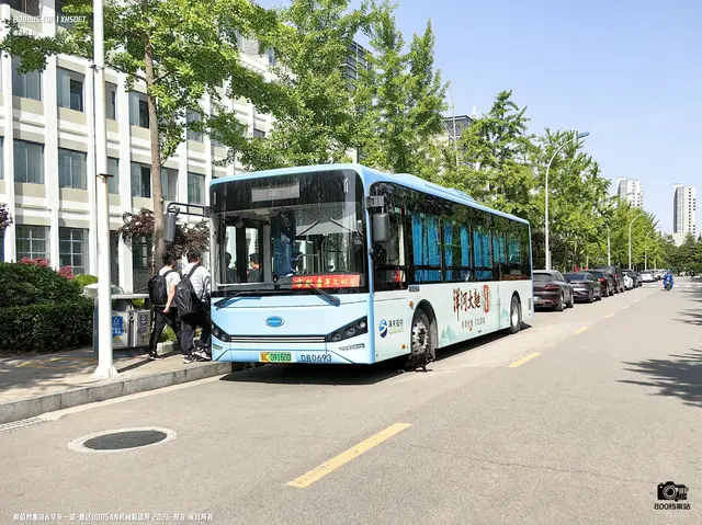 800BUS