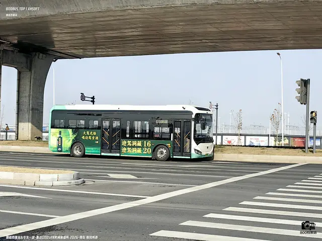 800BUS