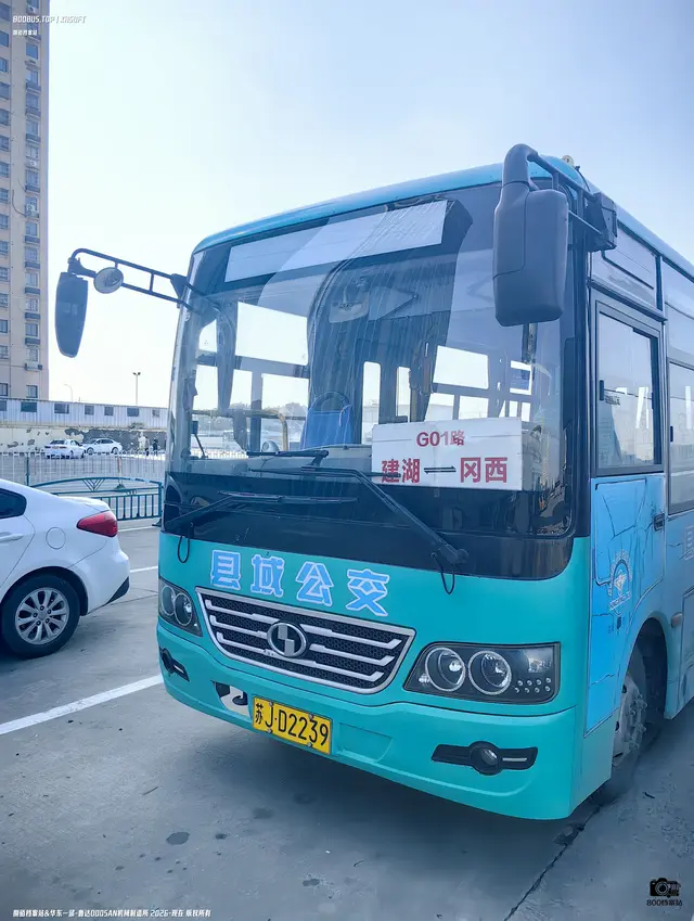 800BUS