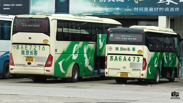 800BUS