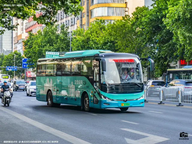 800BUS