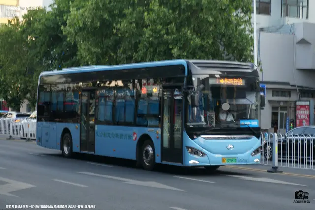 800BUS