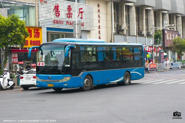 800BUS