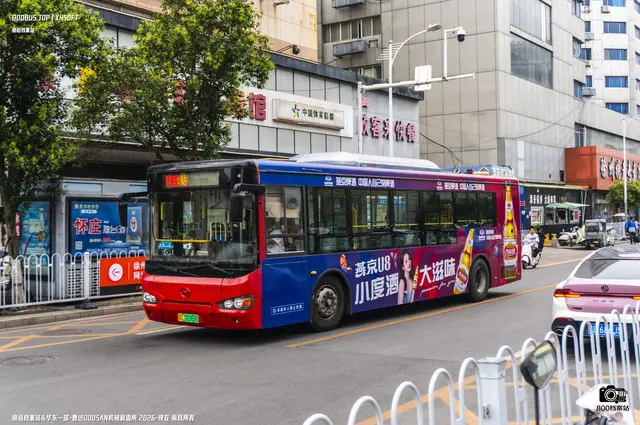 800BUS