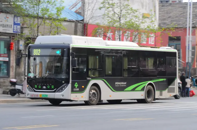 800BUS