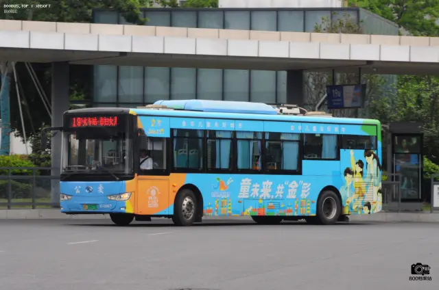 800BUS