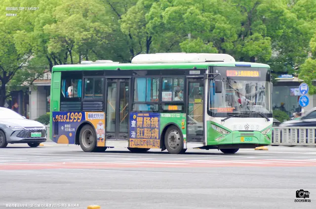 800BUS
