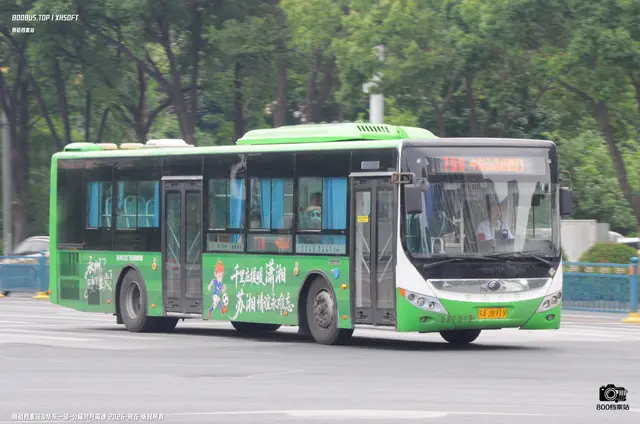 800BUS