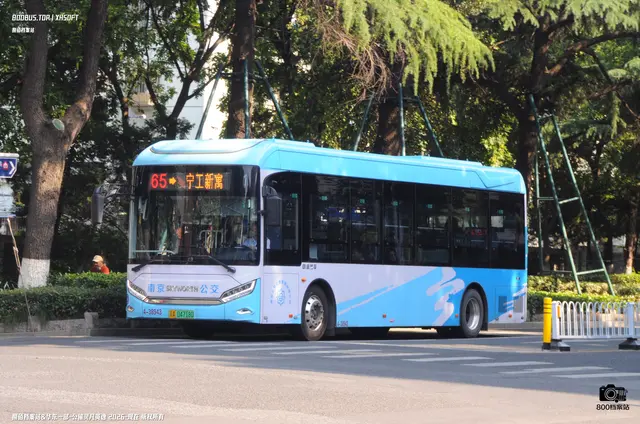 800BUS