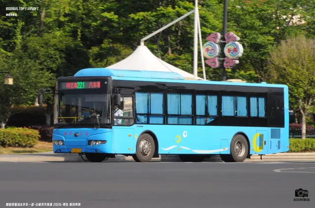 800BUS