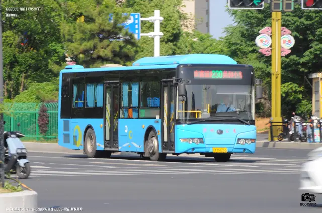 800BUS
