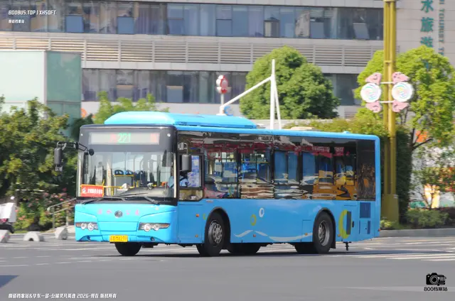 800BUS