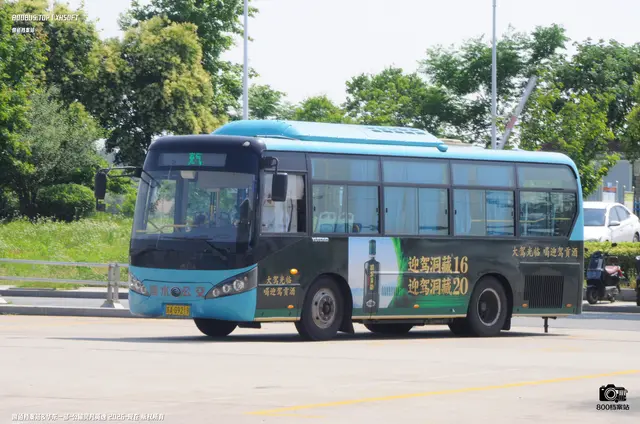 800BUS