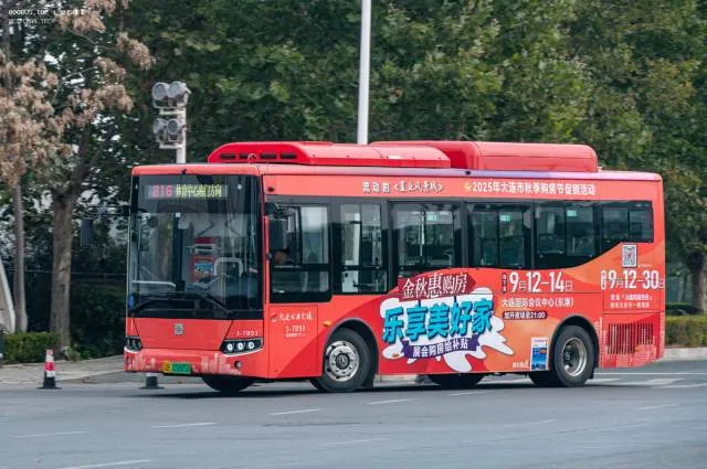 800BUS