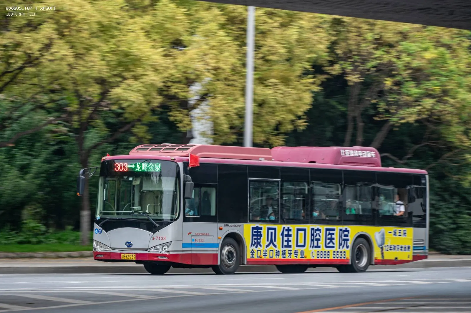 Bus Archive