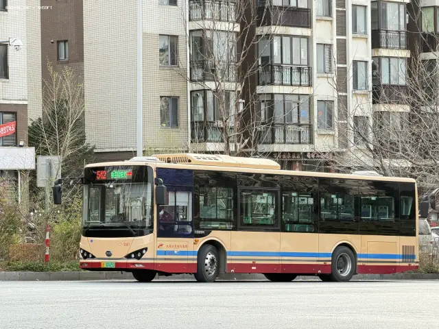 800BUS