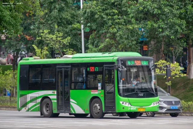 800BUS