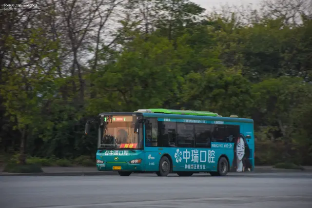 800BUS