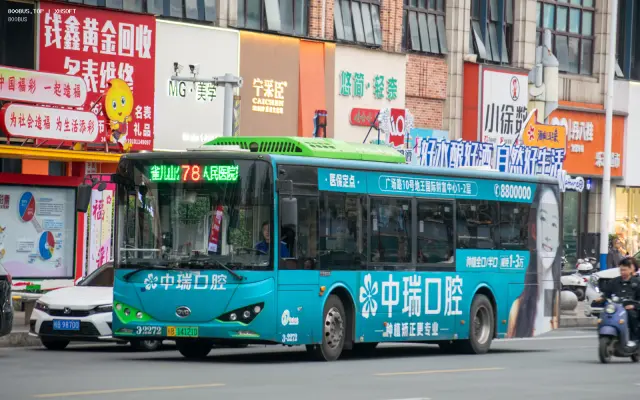 800BUS