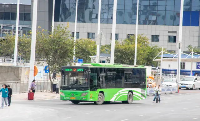 800BUS