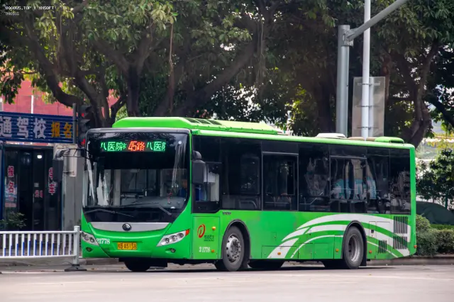 800BUS