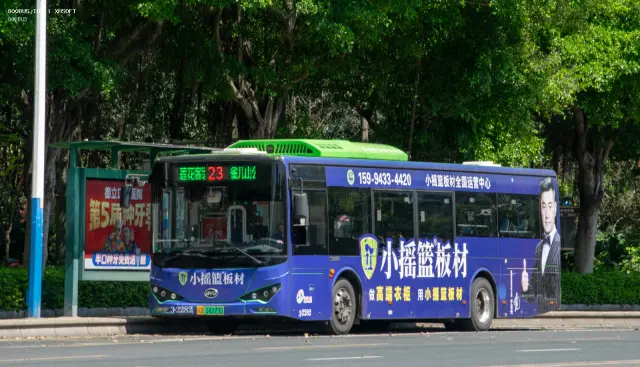 800BUS